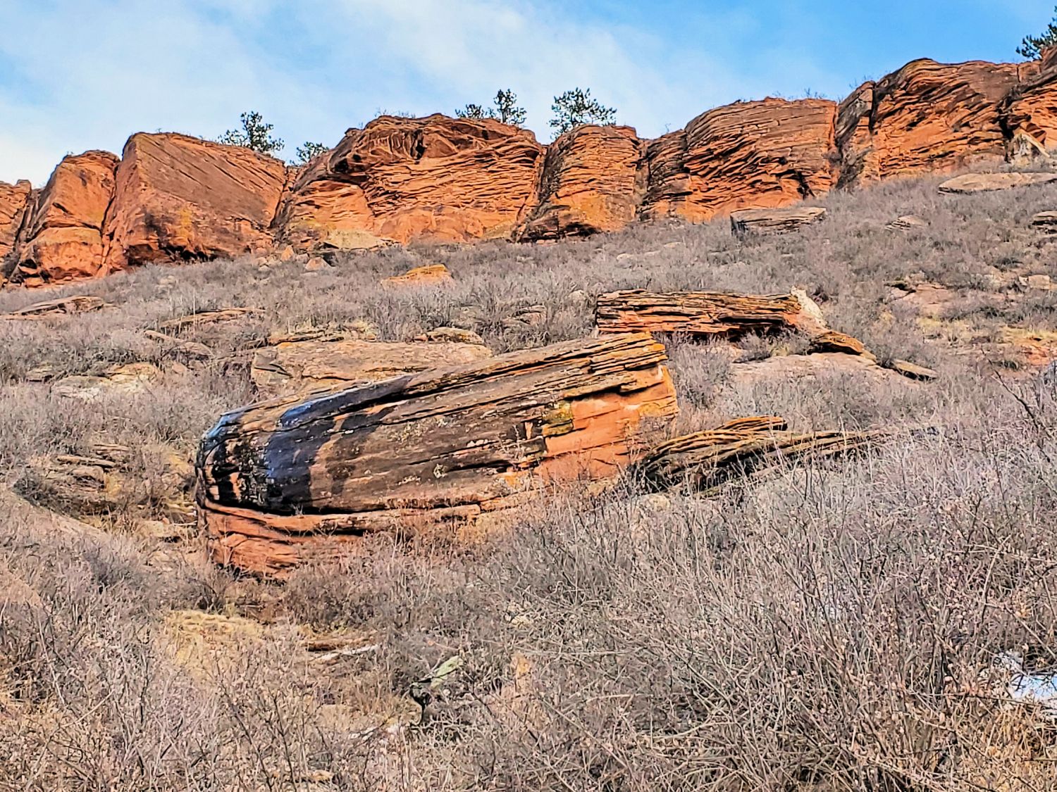 Horsetooth 